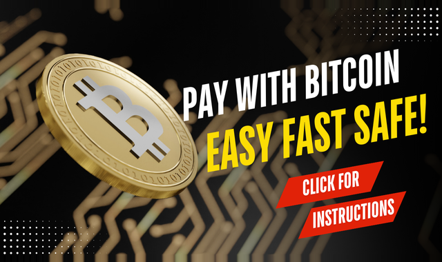 How to Create and Use a Bitcoin Wallet