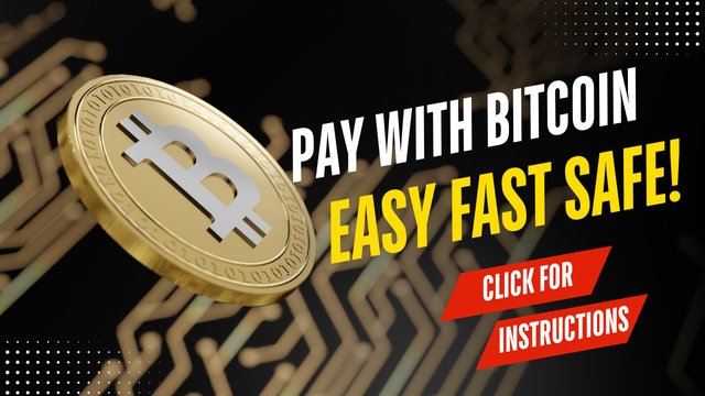 Articles Image How to Create and Use a Bitcoin Wallet