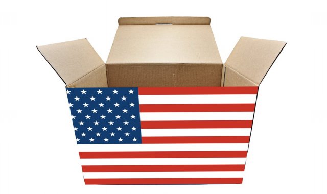 USA DOMESTIC LINE USA DOMESTIC LINE